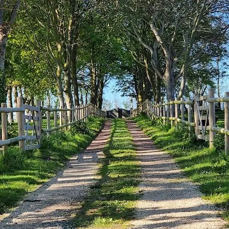 Le Roseau Casa de Férias *